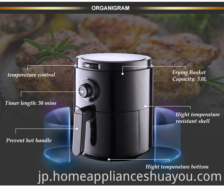 air fryer